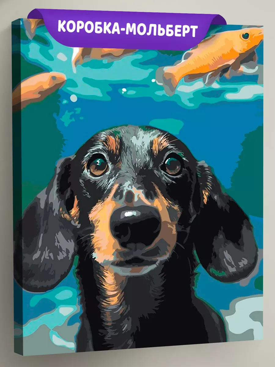 Картина по номерам «Собаки: такса и рыбки под водой 40х50»