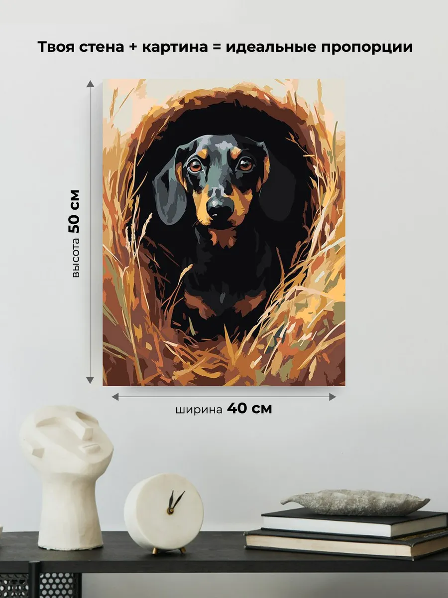 Картина по номерам «Собаки: такса в кроличьей норе 40х50» — картинка 3