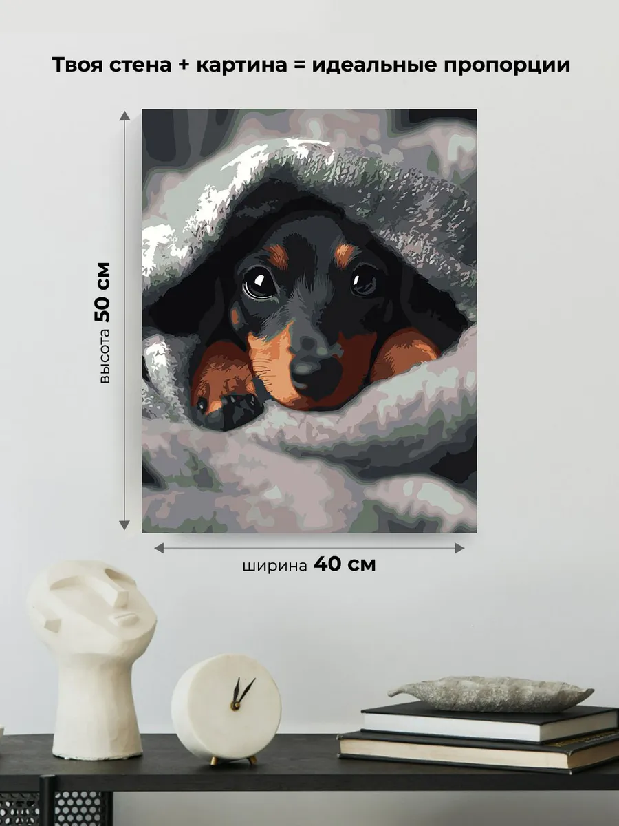 Картина по номерам «Собаки: щенок таксы под теплым пледом» — картинка 3