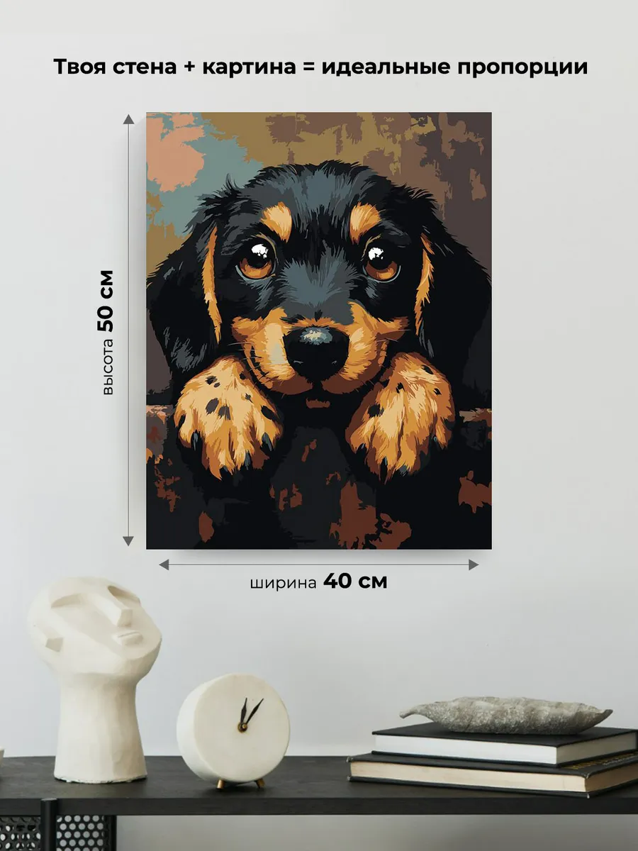 Картина по номерам «Собаки: милый щенок таксы 40х50» — картинка 3