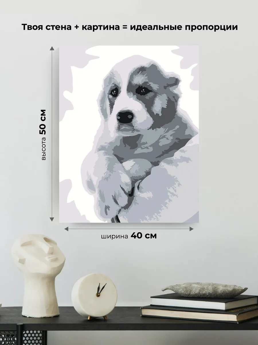 Картина по номерам «Собаки: алабай щенок, монохром чб» — картинка 3