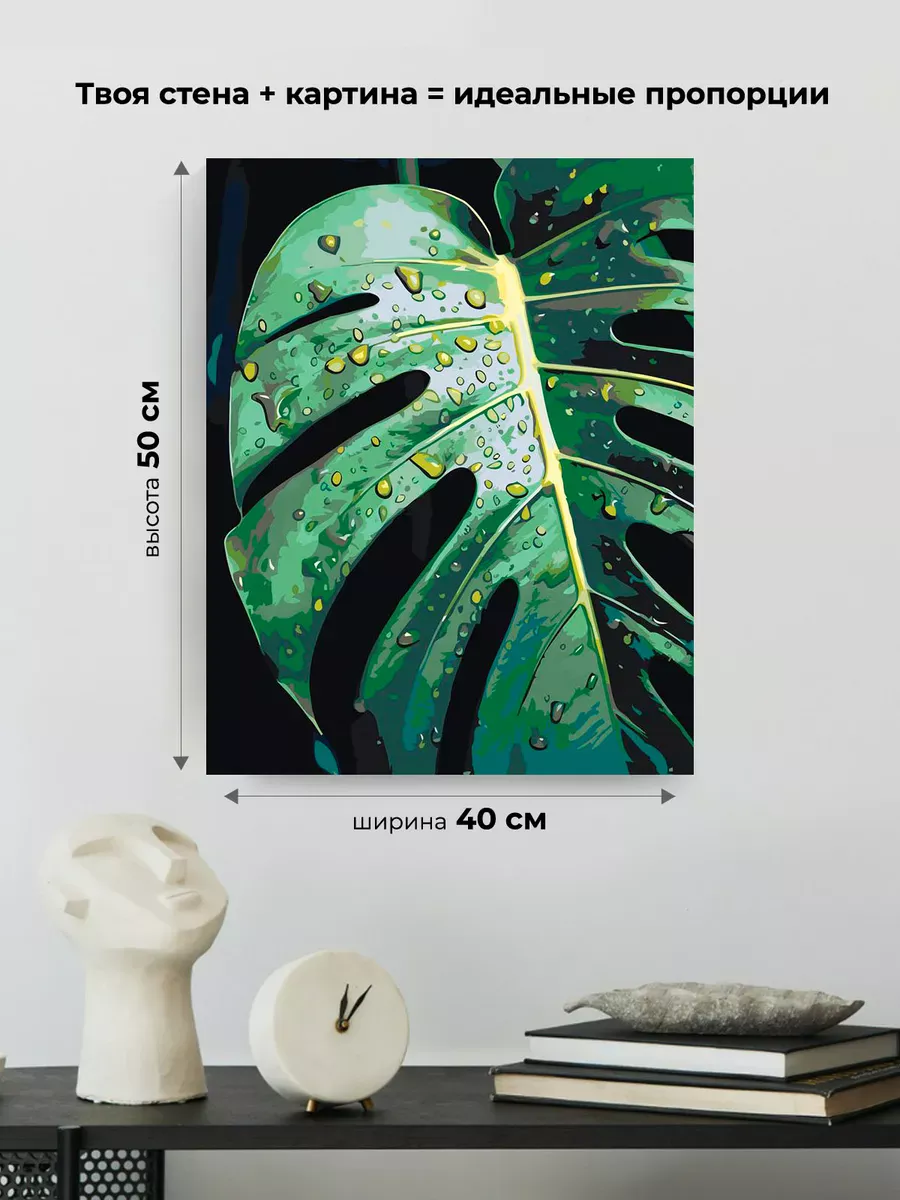 Картина по номерам «Цветы и растения: монстера с каплями» — картинка 3