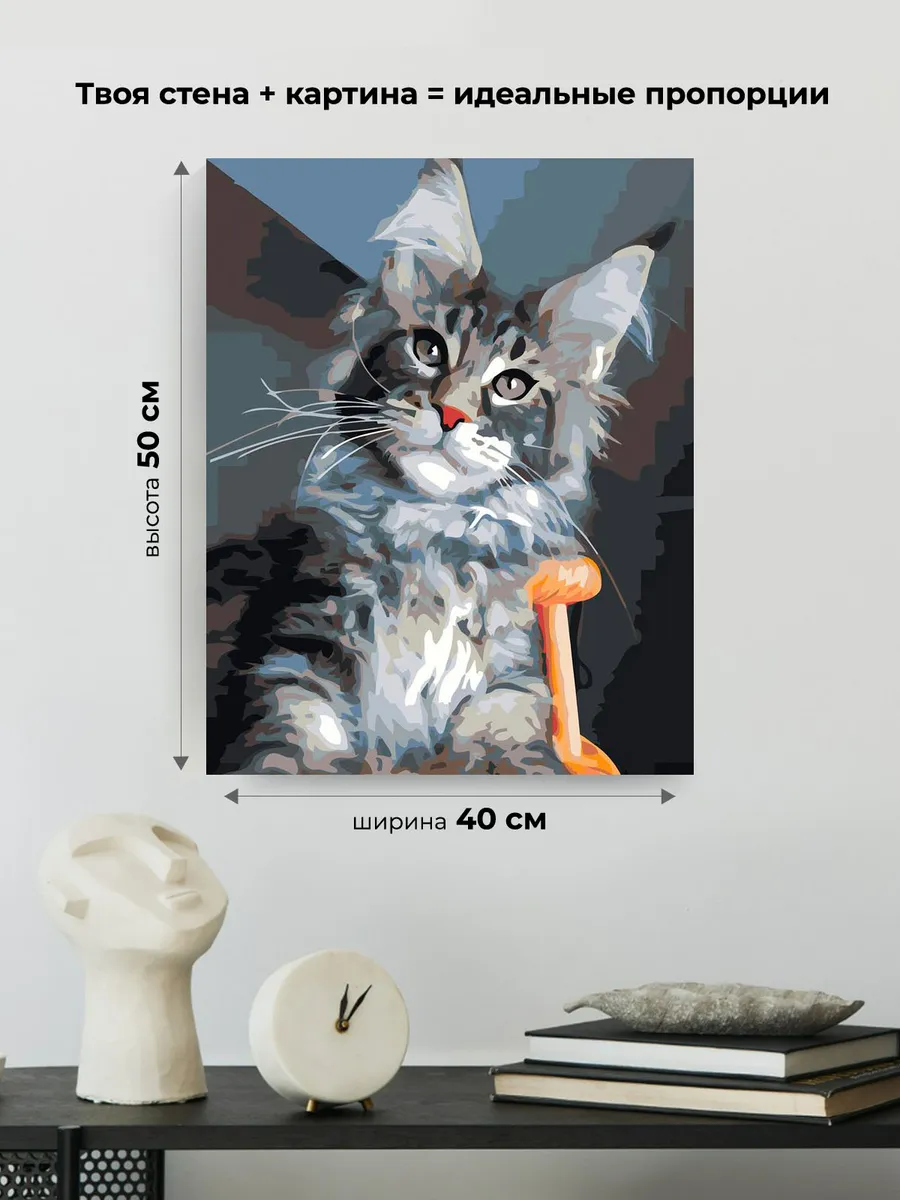 Картина по номерам «Коты и кошки: серый котик мейн-кун» — картинка 3