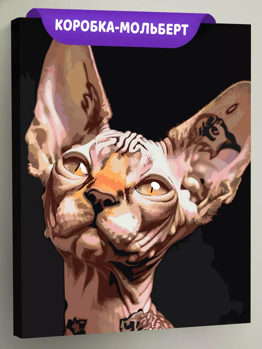 Картина по номерам «Коты и кошки: котик сфинкс с тату»