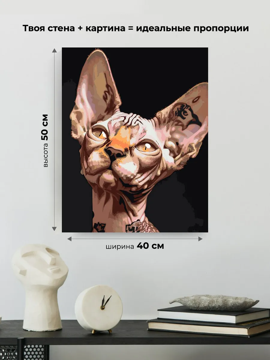 Картина по номерам «Коты и кошки: котик сфинкс с тату» — картинка 3