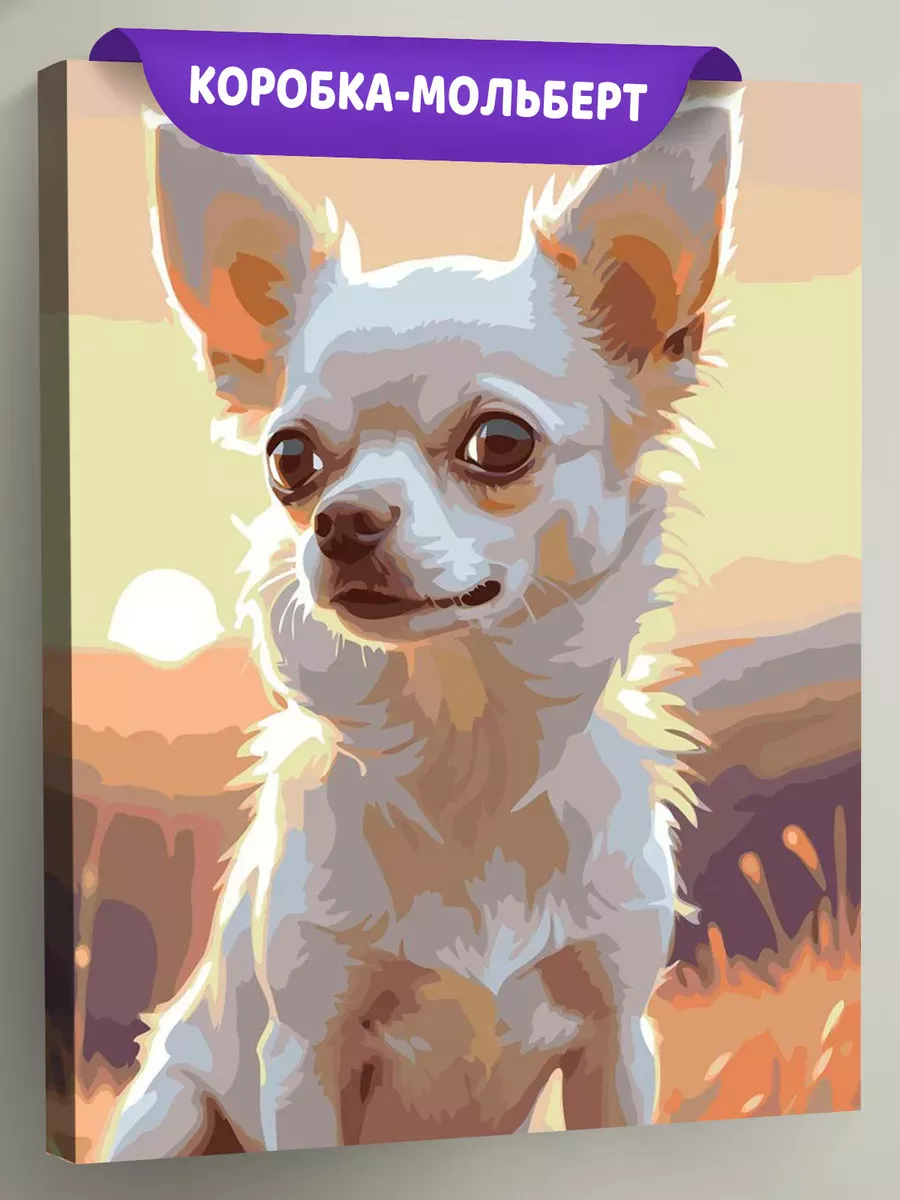 Картина по номерам «Собаки: смешная чихуахуа на закате»