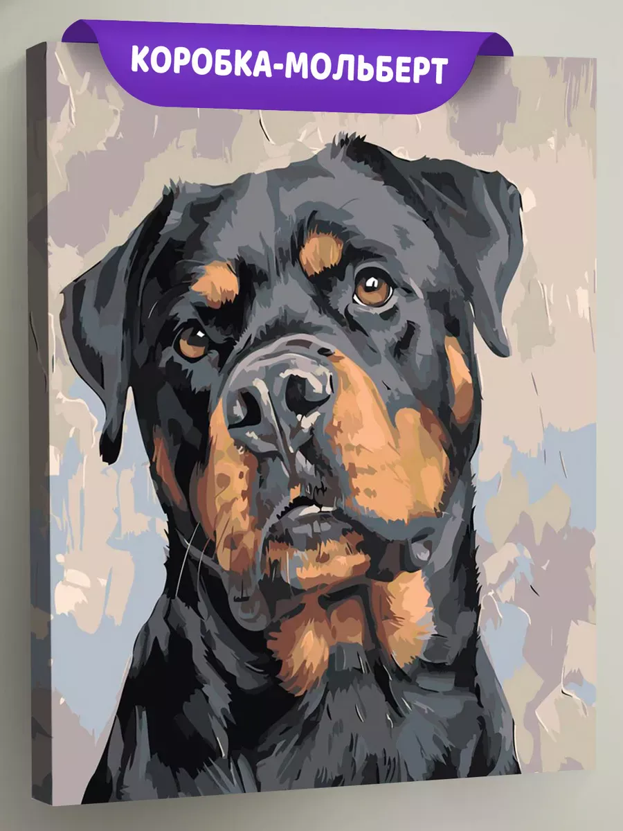 Картина по номерам «Собаки: ротвейлер арт, домашние животные»