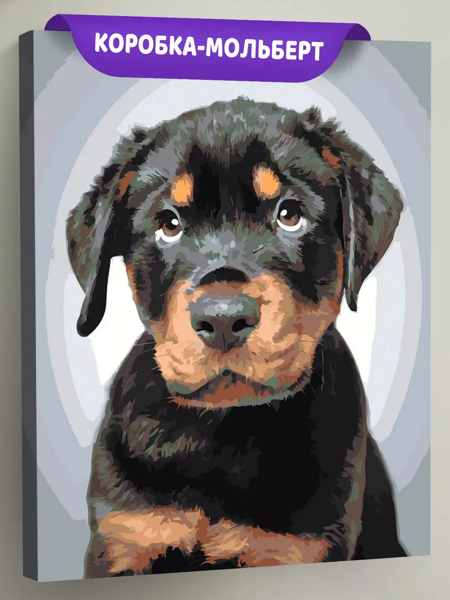 Картина по номерам «Собаки: милый щенок ротвейлер» Картина по номерам «Собаки: милый щенок ротвейлер»