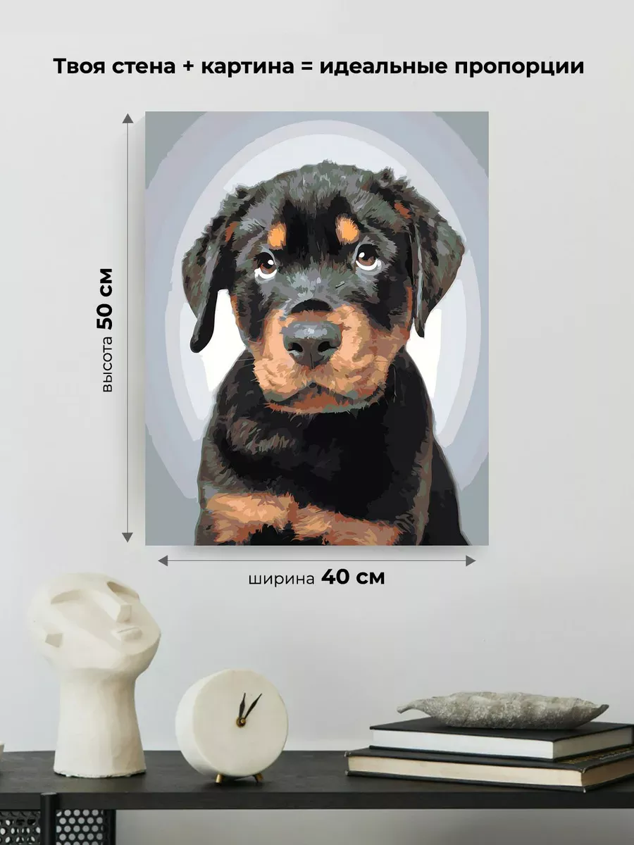 Картина по номерам «Собаки: милый щенок ротвейлер» — картинка 3