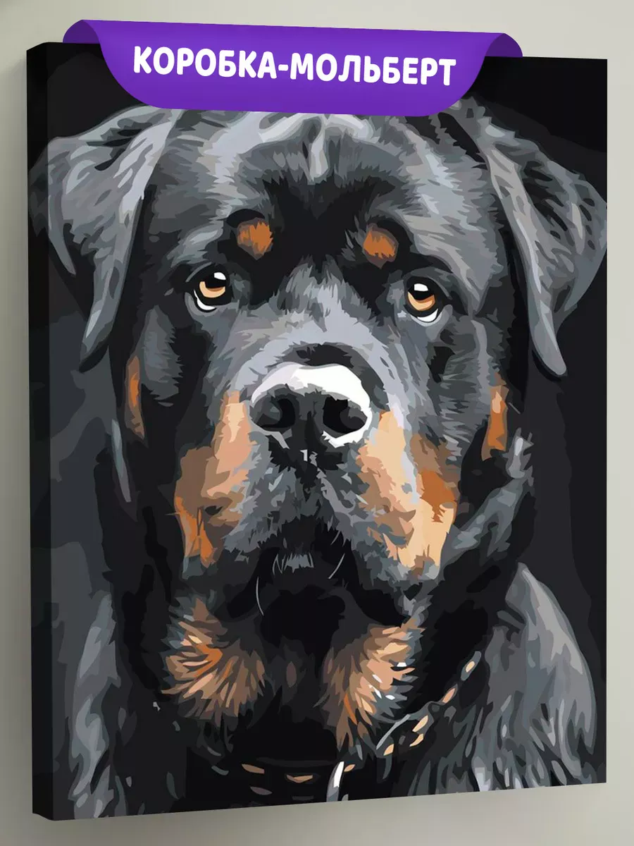 Картина по номерам «Собаки: ротвейлер, домашние животные»