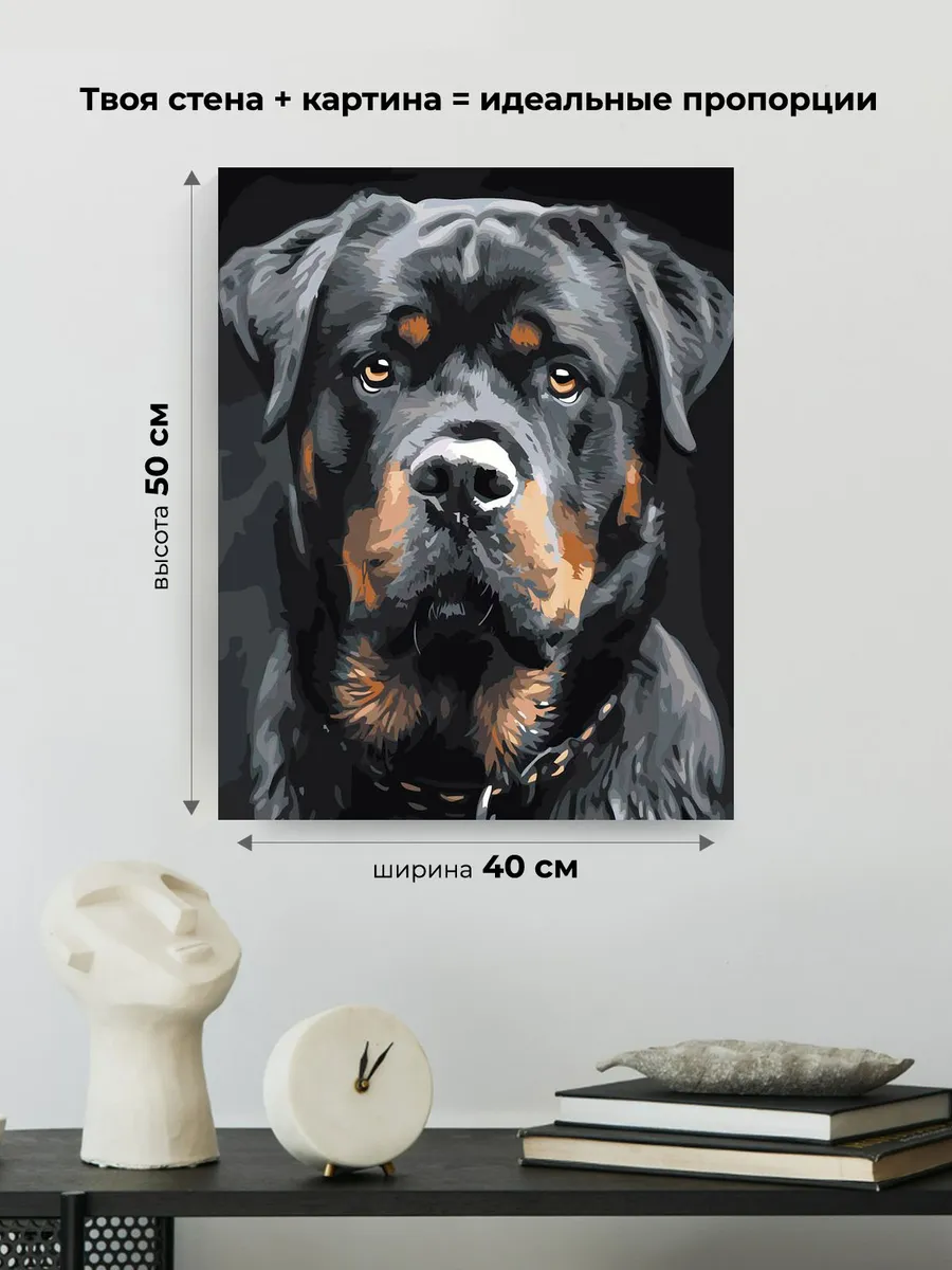 Картина по номерам «Собаки: ротвейлер, домашние животные» — картинка 3