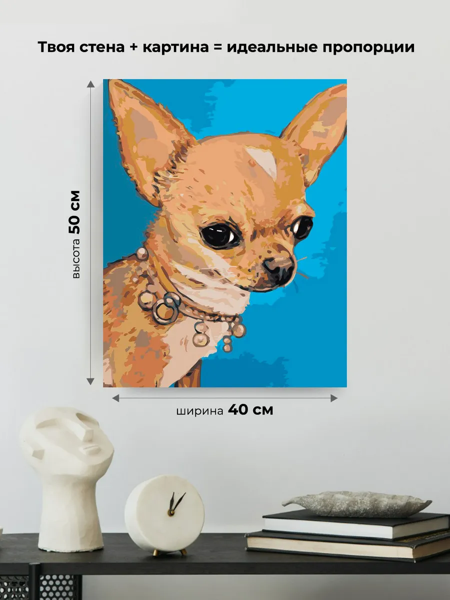 Картина по номерам «Собаки: маленькая чихуахуа с ожерельем» — картинка 3