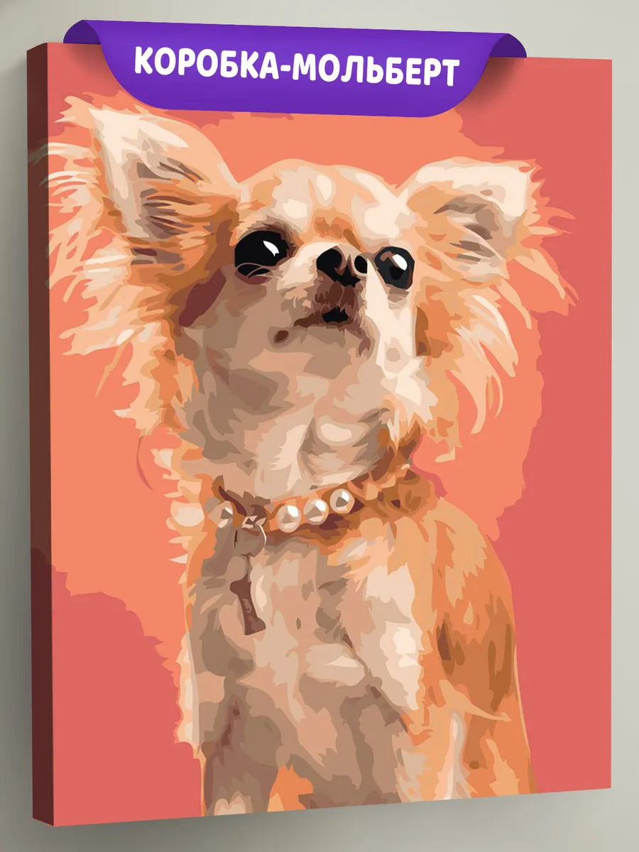 Картина по номерам «Собаки: чихуахуа с пушистыми ушами»