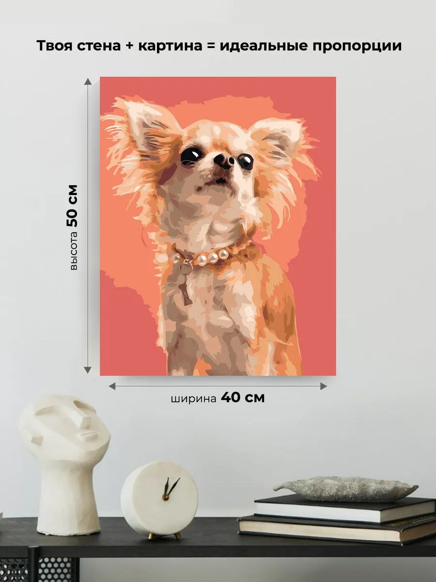 Картина по номерам «Собаки: чихуахуа с пушистыми ушами» — картинка 3