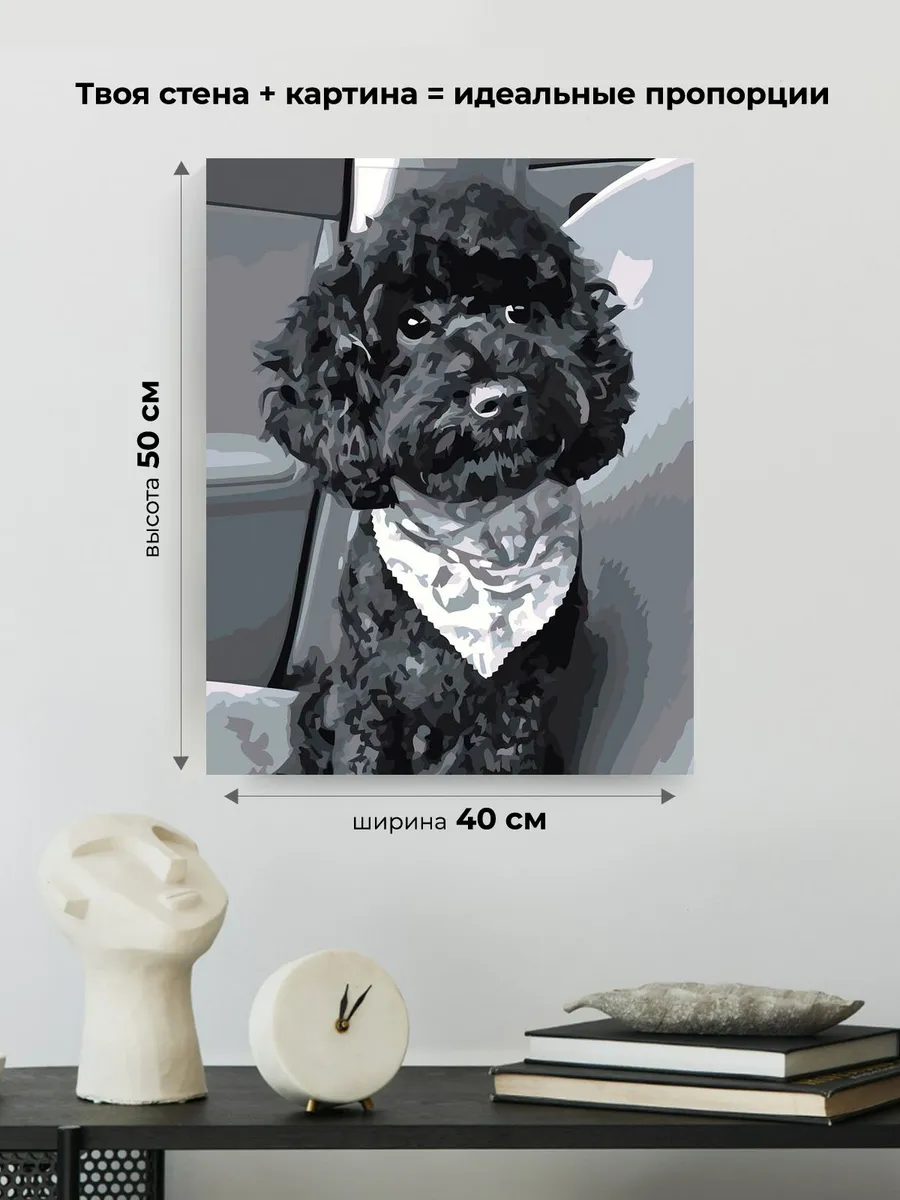 Картина по номерам «Собаки: черный той пудель в машине, чб» — картинка 3