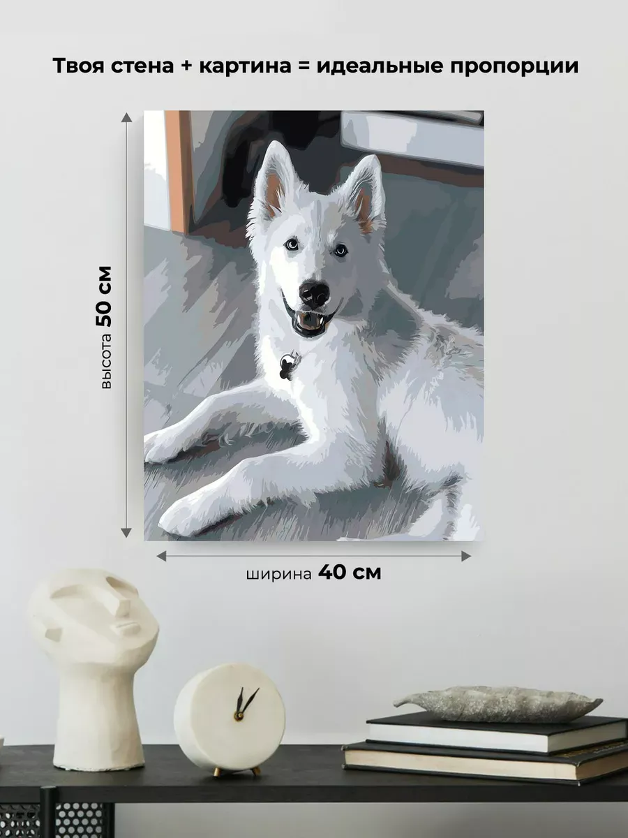 Картина по номерам «Собаки: белая швейцарская овчарка, щенок» — картинка 3