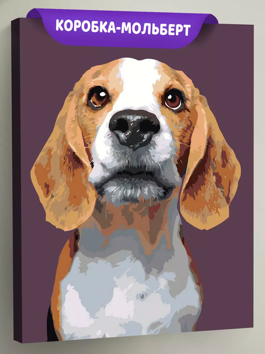 Картина по номерам «Собаки: пёс бигль, домашние животные»