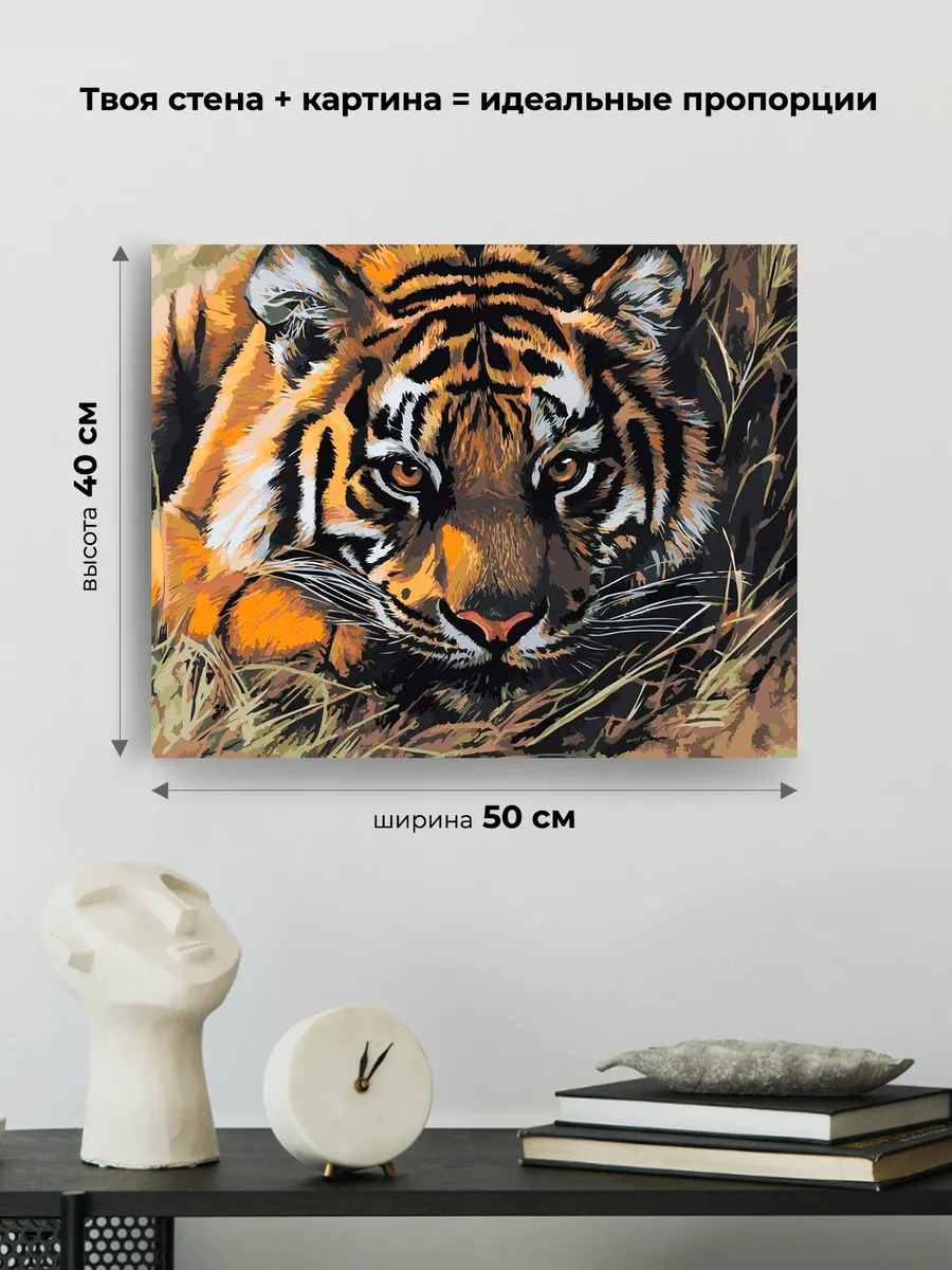 Картина по номерам «Животные: тигр прячется в траве, природа» — картинка 3