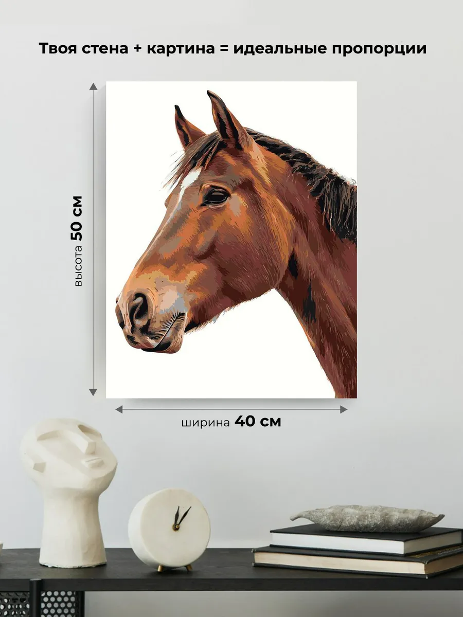 Картина по номерам «Животные: конь на белом фоне, портрет» — картинка 3