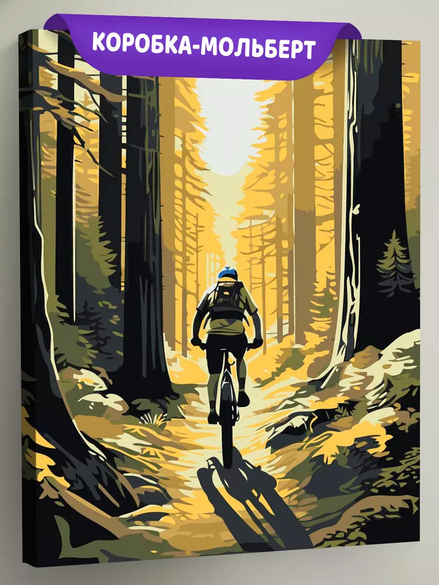 Картина по номерам «Велосипедист на дорожке в лесу арт»
