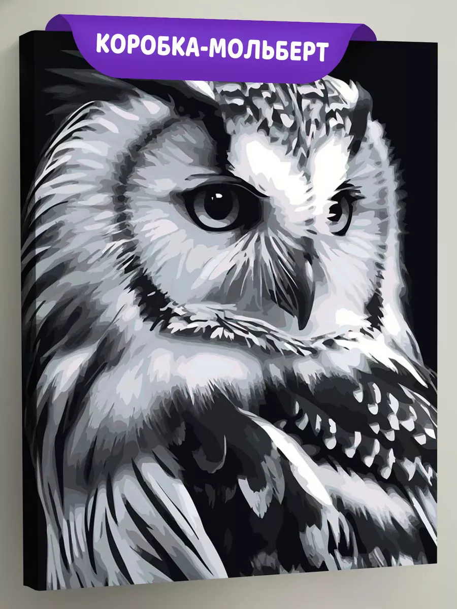 Картина по номерам «Животные: мудрая птица сова, чб портрет»