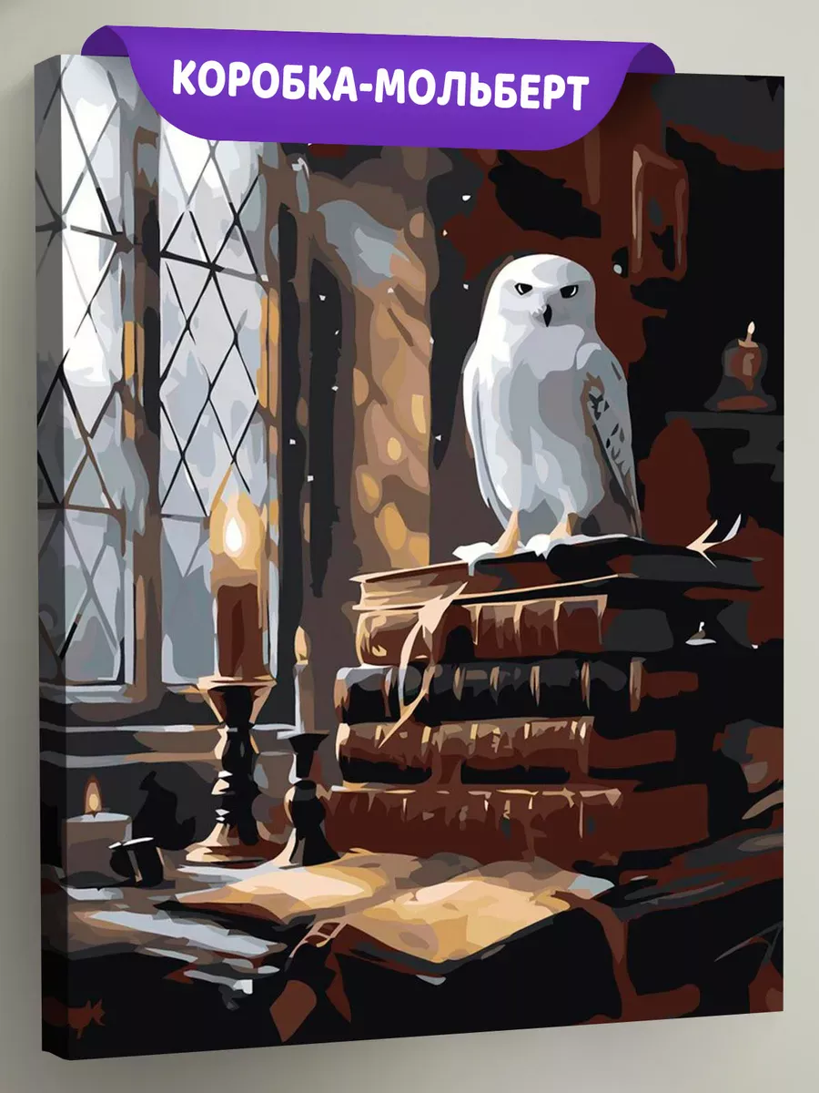 Картина по номерам «Гарри Поттер: сова Букля в Хогвартсе»