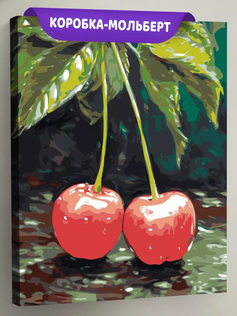 Картина по номерам «Натюрморт: спелые вишни под дождем»