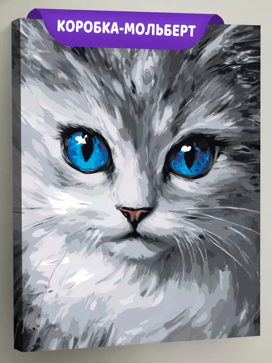 Картина по номерам «Кошки: серый котенок с голубыми глазами»