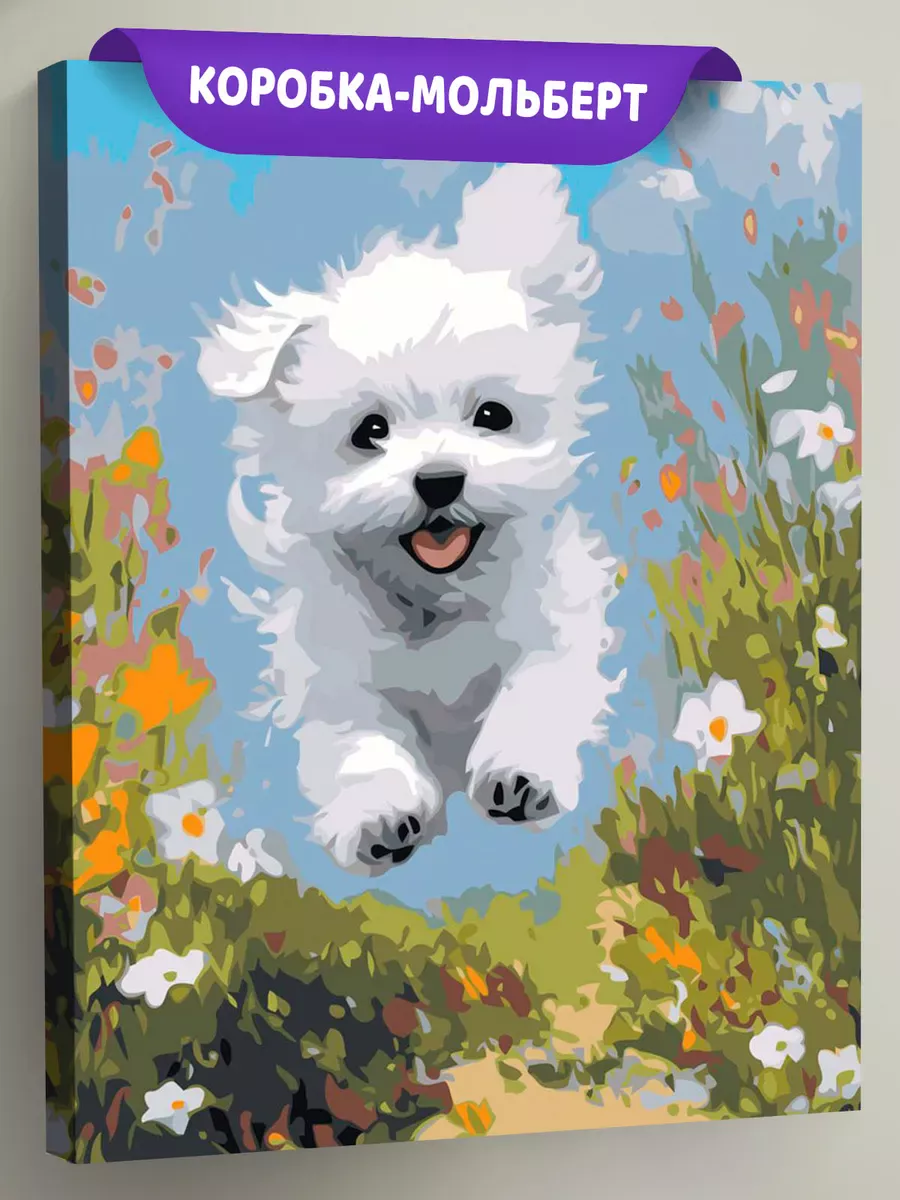 Картина по номерам «Собаки: белая болонка среди цветов»