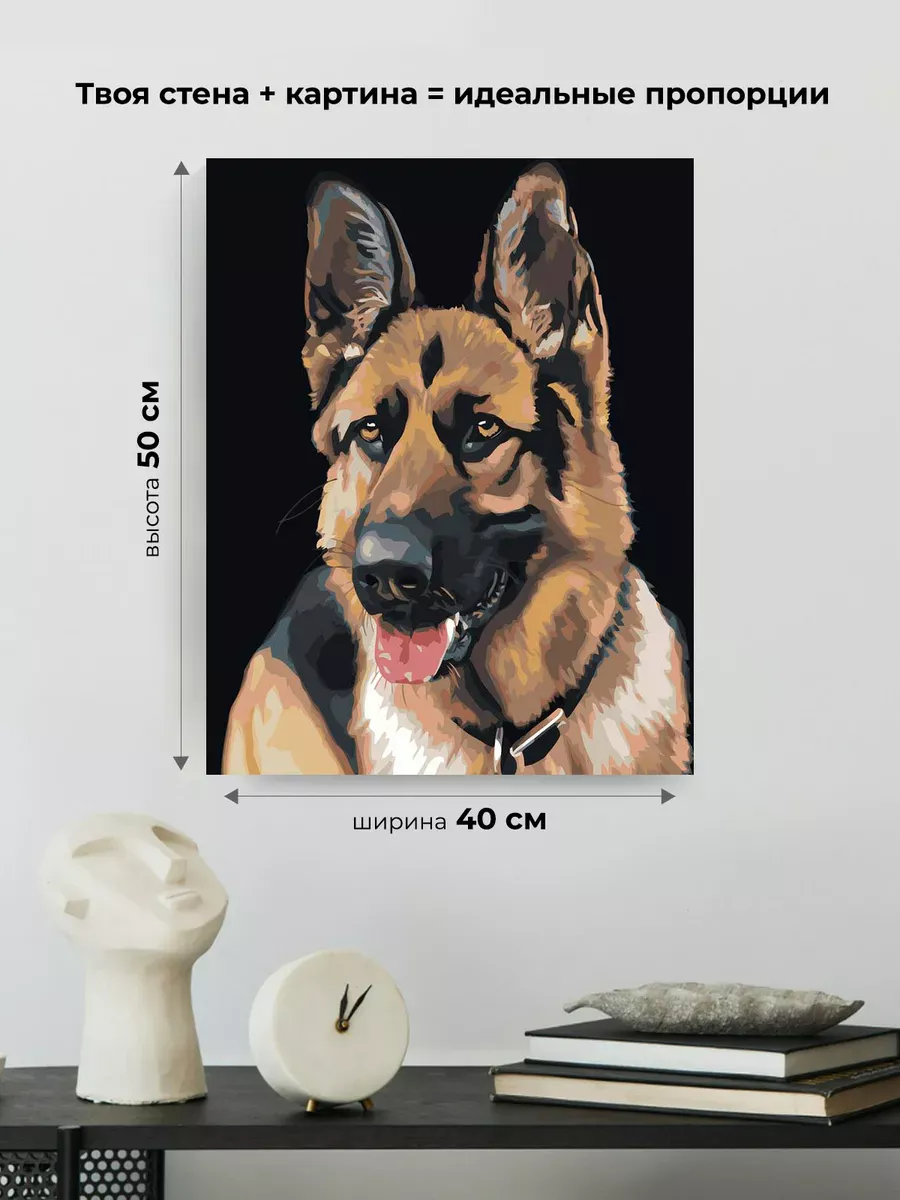 Картина по номерам «Собаки: Немецкая овчарка портрет» — картинка 3