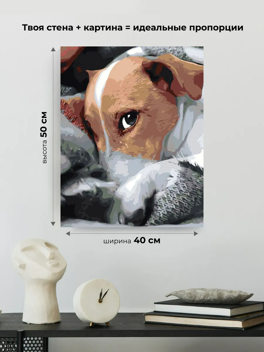 Картина по номерам «Собаки: Джек рассел терьер в пледе» — картинка 3