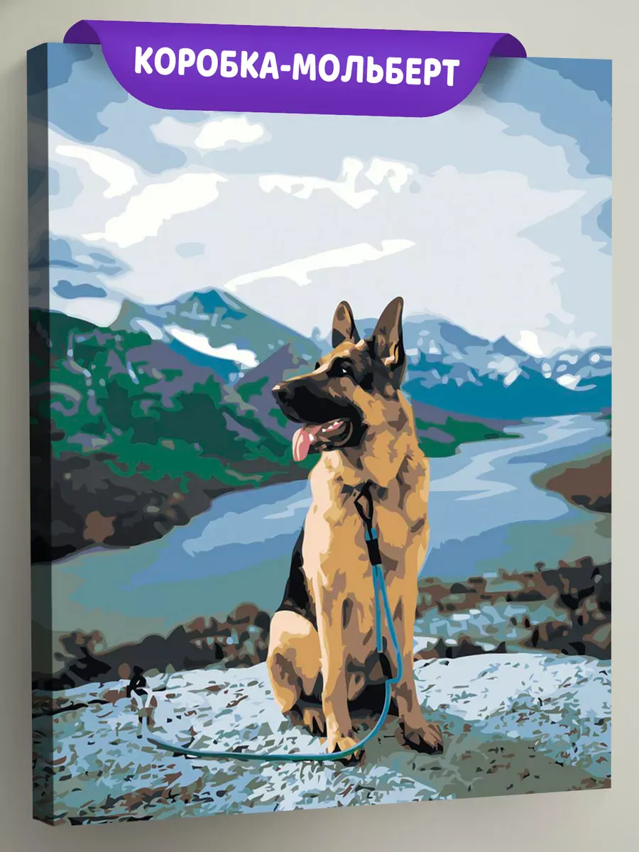 Картина по номерам «Собаки: Немецкая овчарка и снежные горы»