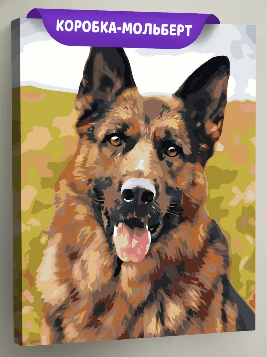 Картина по номерам «Собаки: Немецкая овчарка портрет»