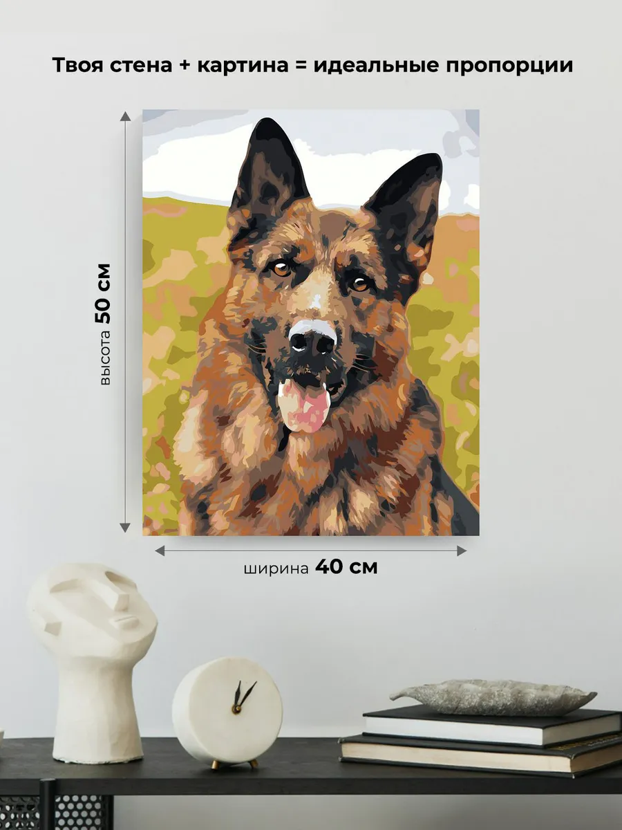 Картина по номерам «Собаки: Немецкая овчарка портрет» — картинка 3