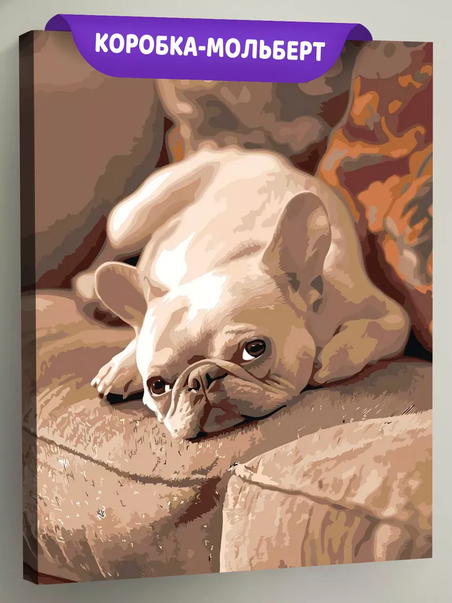 Картина по номерам Собака милый французский бульдог