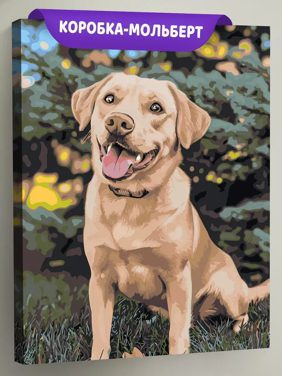 Картина по номерам Собака лабрадор ретривер в парке