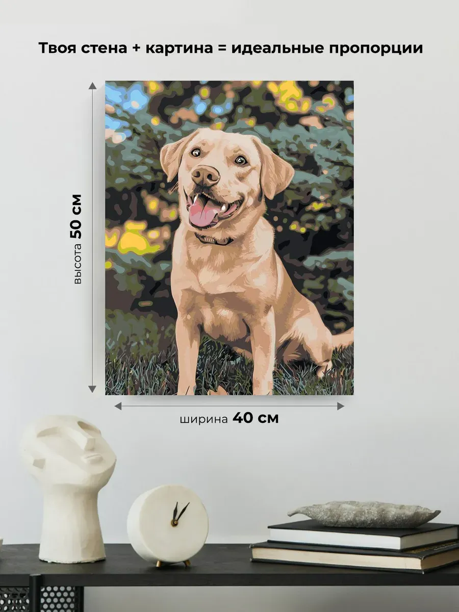 Картина по номерам Собака лабрадор ретривер в парке — картинка 3