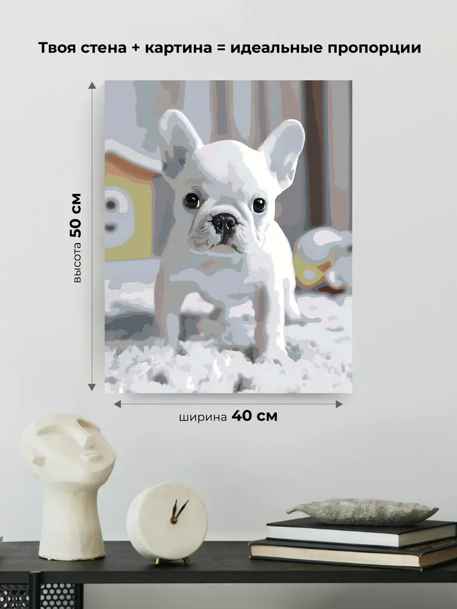Картина по номерам Собака милый французский бульдог щенок — картинка 3
