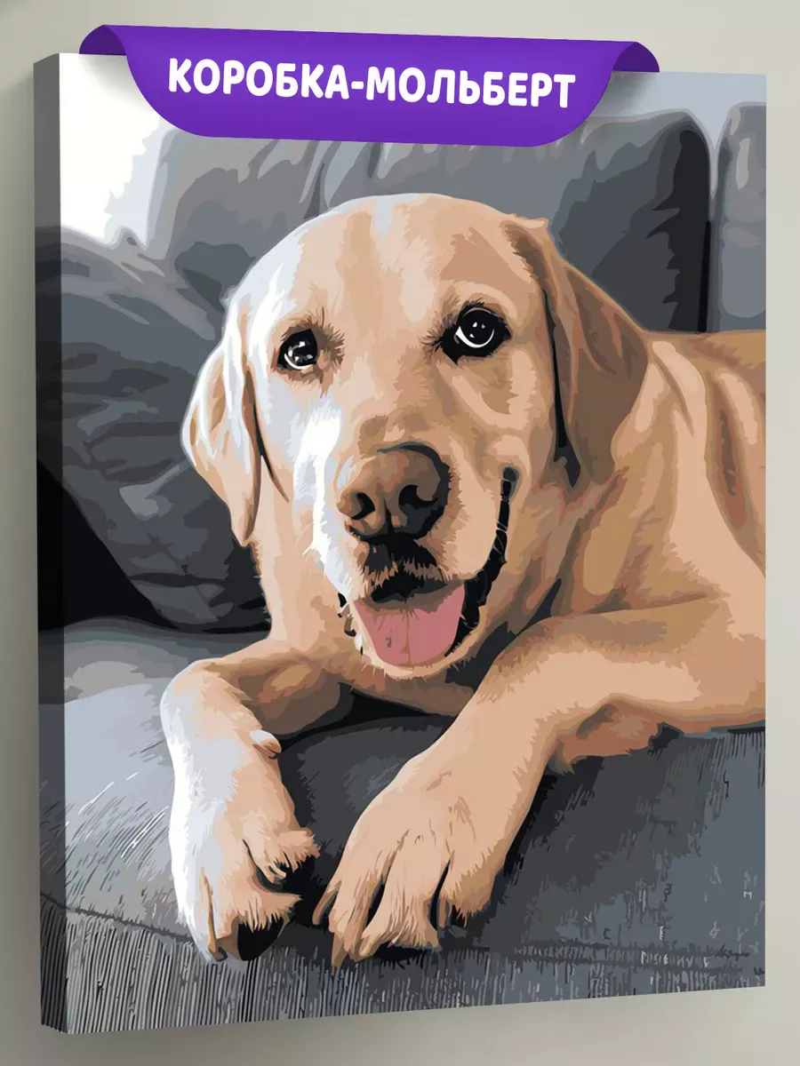 Картина по номерам Собака лабрадор ретривер на диване