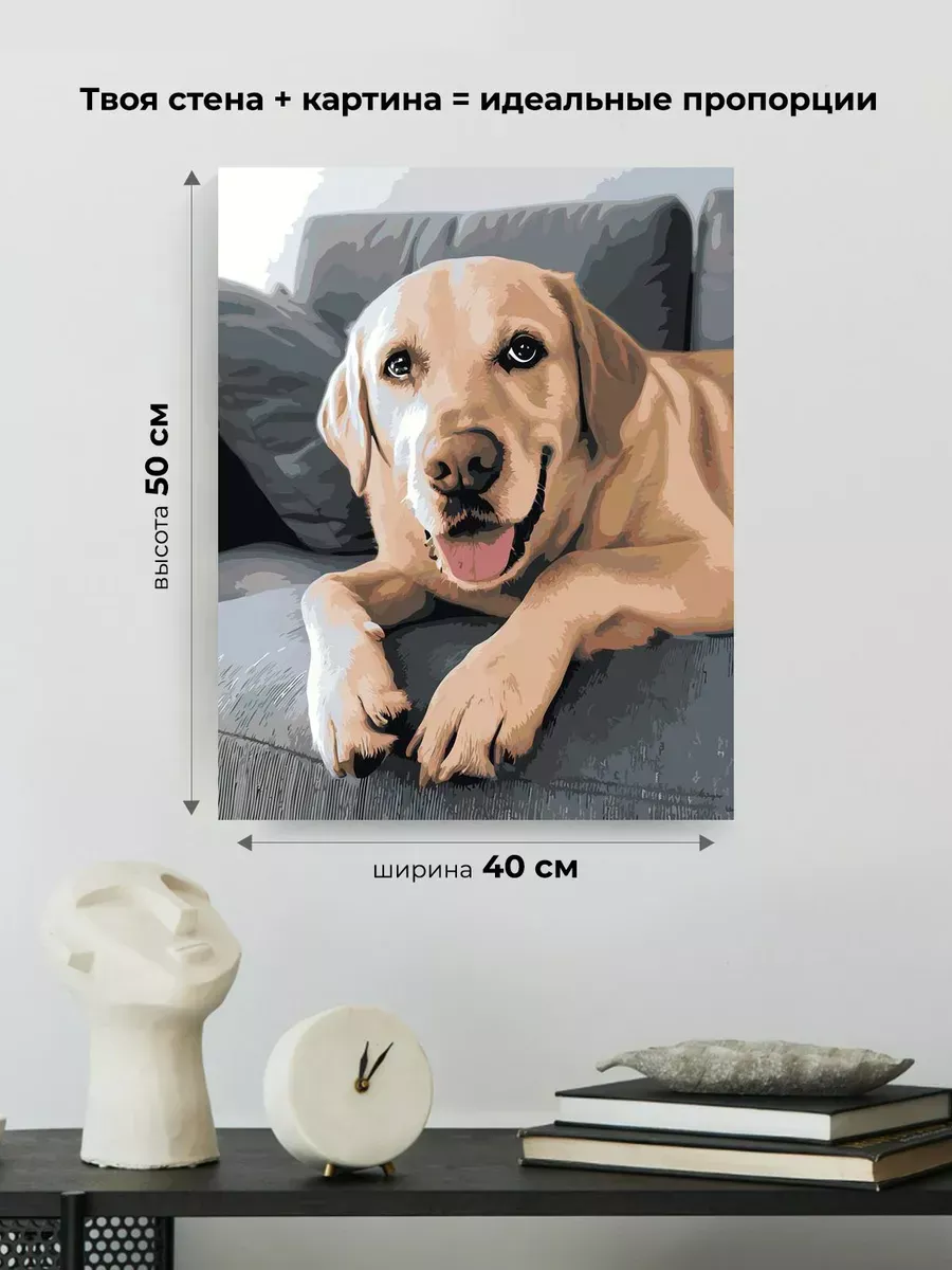 Картина по номерам Собака лабрадор ретривер на диване — картинка 3