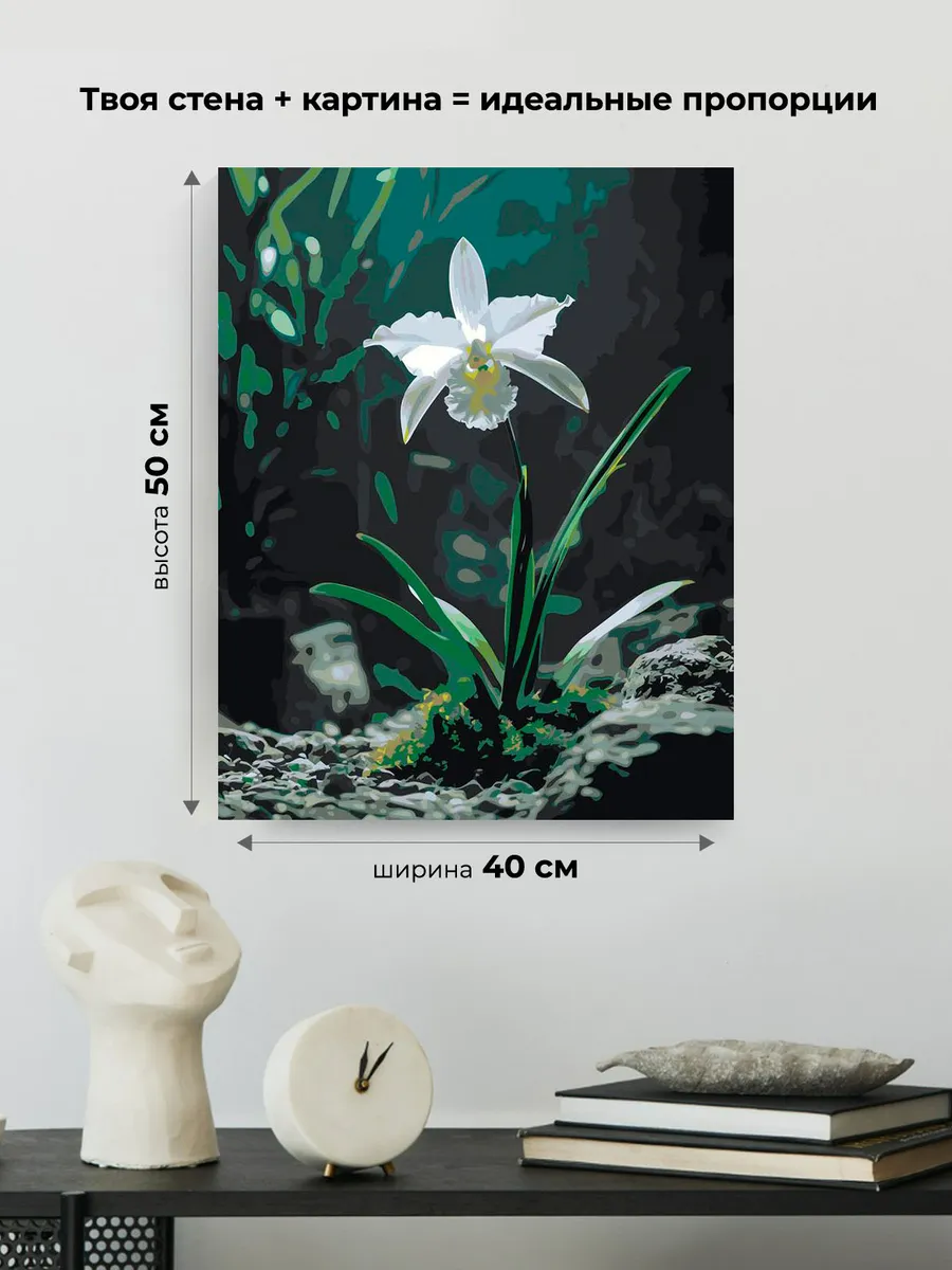 Картина по номерам Цветок белая тропическая орхидея — картинка 3
