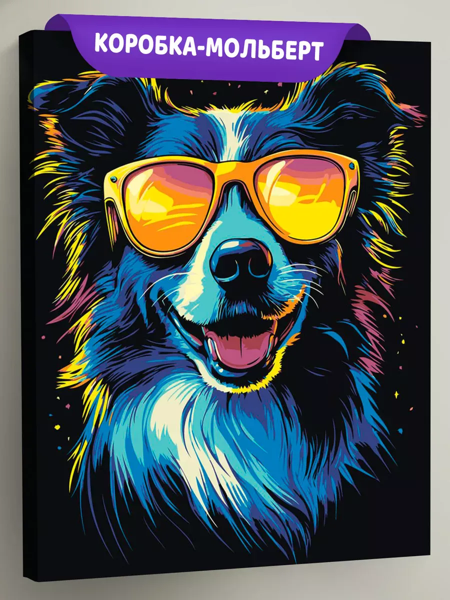 Картина по номерам Яркая собака Бордер колли в очках