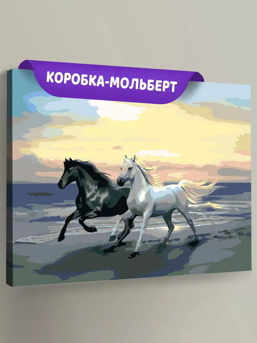 Картина по номерам «Чёрная и белая»