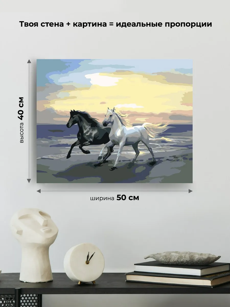 Картина по номерам «Чёрная и белая» — картинка 3