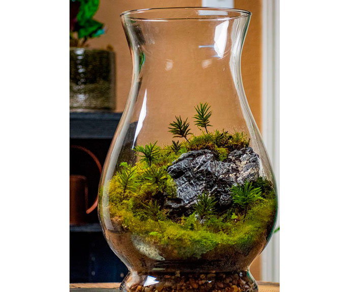 На фото изображено - Флорариум - оазис в стекле, рис. Флорариум горы