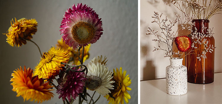 На фото изображено - Сухие цветы для творчества, рис. Гелихризум