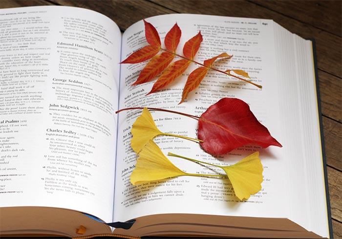 На фото изображено - Осенние аппликации: виды, техники, советы по сбору и сушке листьев, рис. Сушка листьев в книге