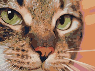 Картина по номерам «Симпатичный кот» Картина по номерам «Симпатичный кот»