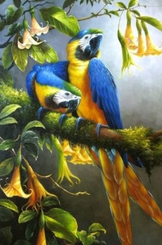 Алмазная вышивка «Два попугая» Алмазная вышивка «Два попугая»