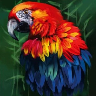 Алмазная вышивка «Попугай» Алмазная вышивка «Попугай»